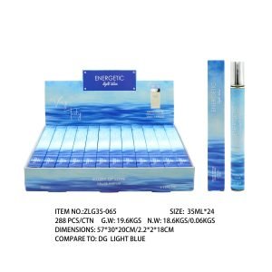 ZLG35065